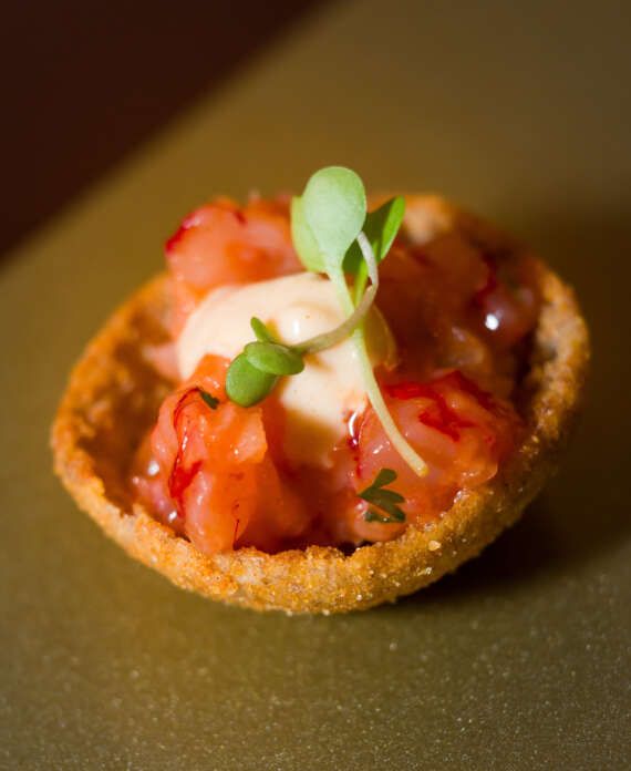 BULGARI_20251120_098 (002)