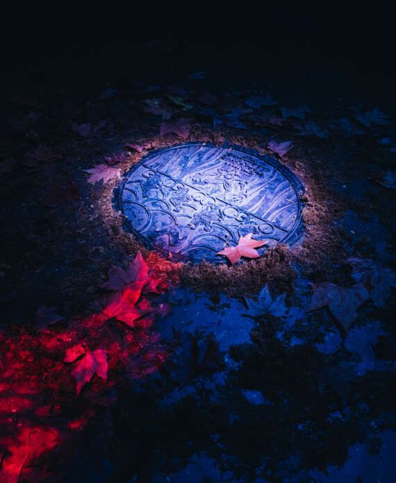 _DSC7200_@sharonlopez_11