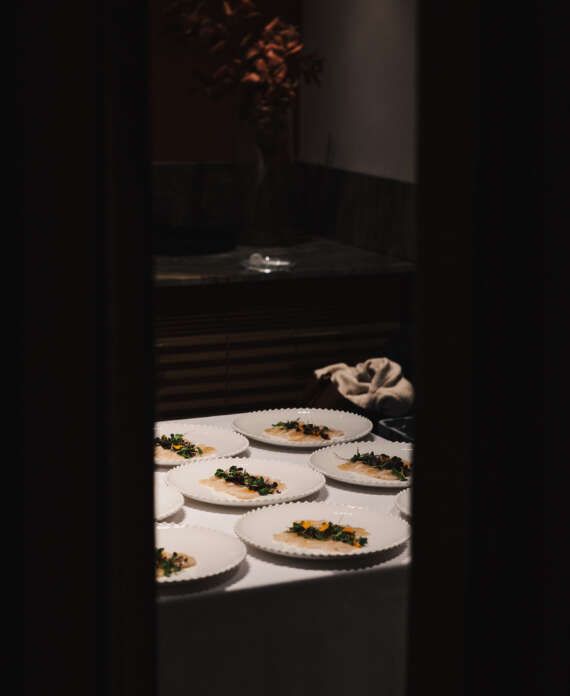 FOTO @danielataress_36A0622 (57)