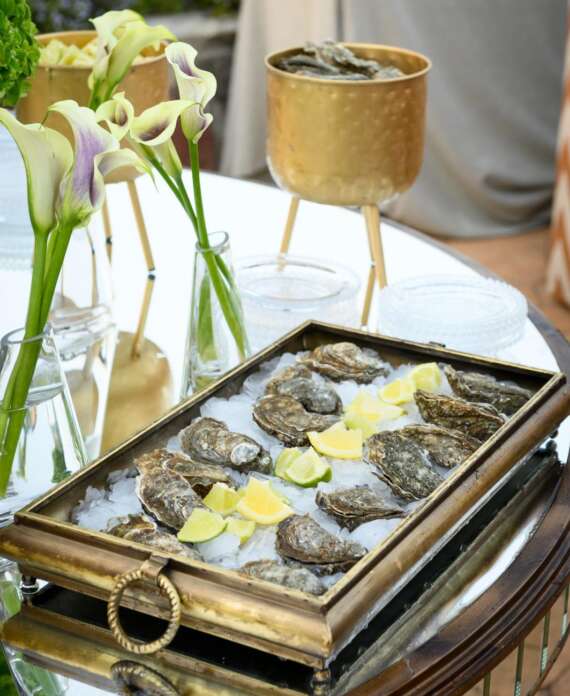 WhatsApp Image 2024-02-27 at 15.38.02 (3)