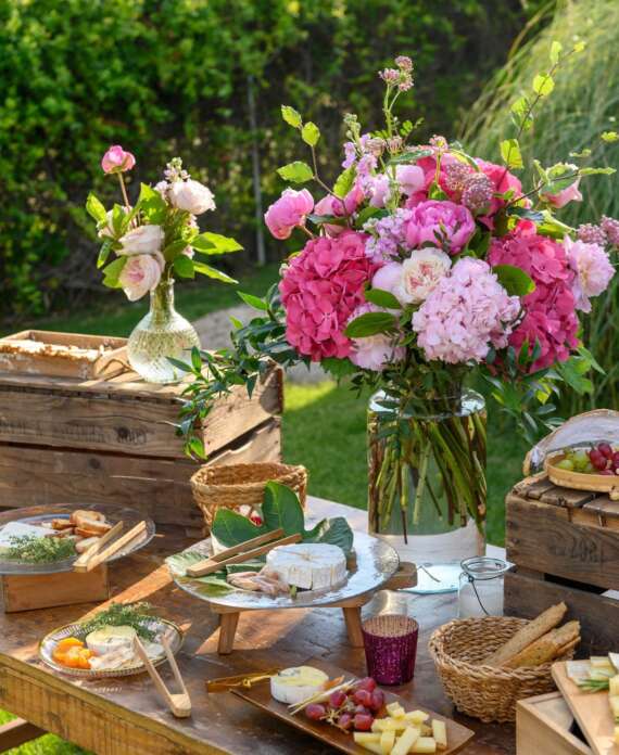 WhatsApp Image 2024-02-27 at 15.38.45