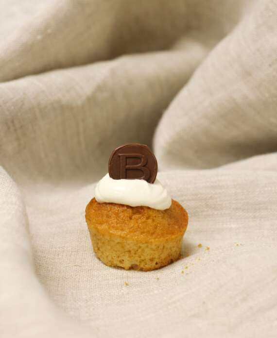 WhatsApp Image 2024-04-02 at 11.36.07