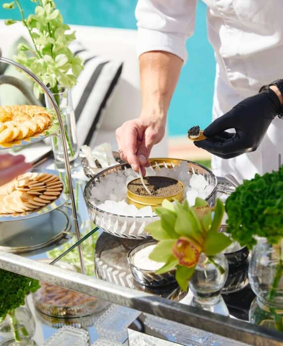 WhatsApp Image 2025-01-22 at 11.27.28 (1)