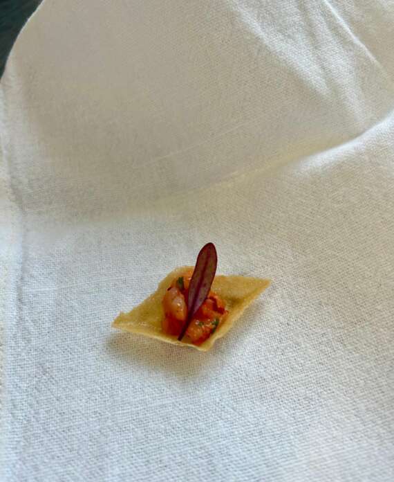 WhatsApp Image 2025-04-10 at 11.45.11 (1)