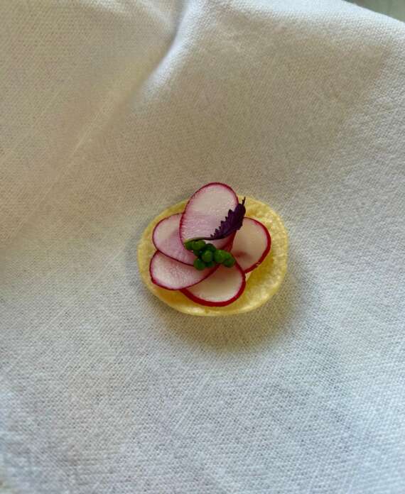 WhatsApp Image 2025-04-10 at 11.45.11