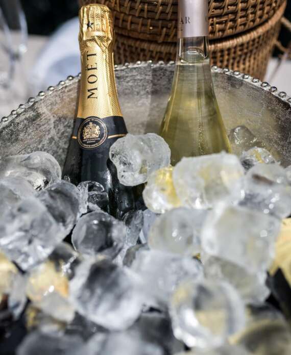 WhatsApp Image 2025-05-28 at 21.35.31 (1)