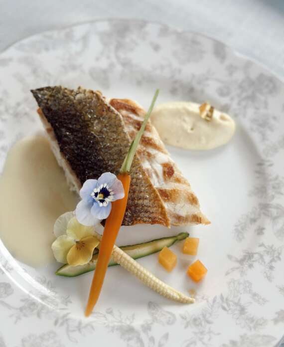 WhatsApp Image 2026-03-02 at 16.25.14 (5)