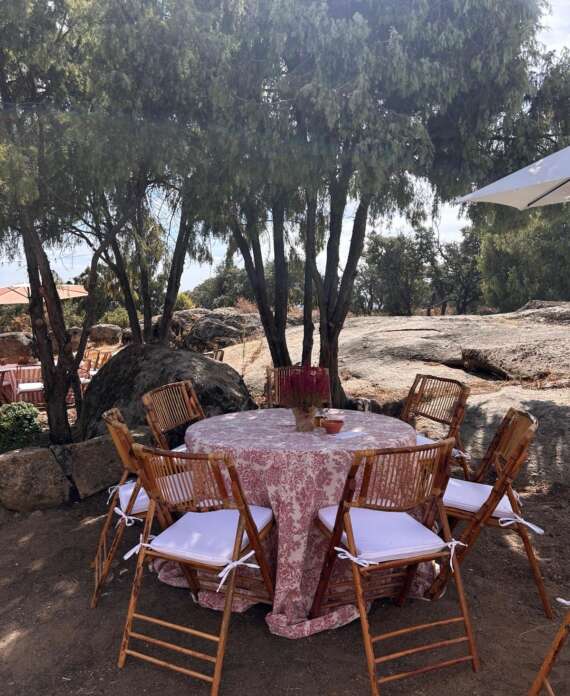 WhatsApp Image 2026-03-02 at 17.23.36