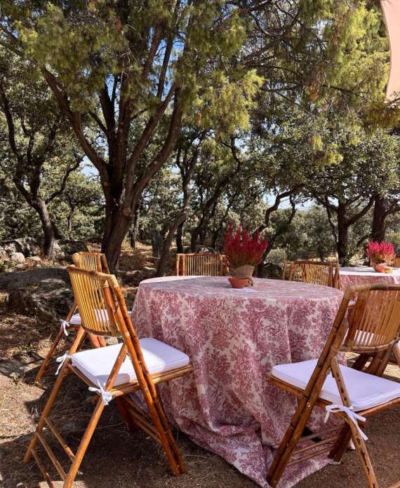 WhatsApp Image 2026-03-02 at 17.23.38 (3)