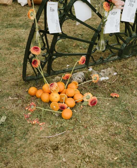 WhatsApp Image 2026-03-03 at 16.47.01