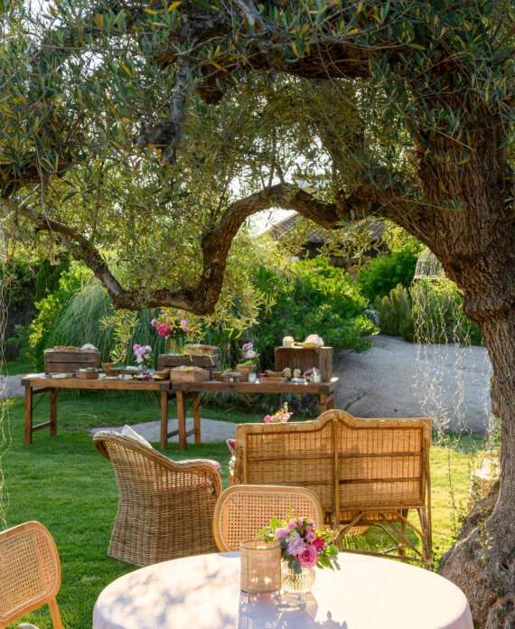 WhatsApp Image 2026-03-06 at 13.40.49